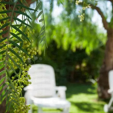 Apartmán Mimosa *